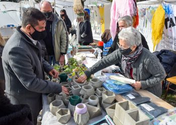 Cinco políticas públicas para afrontar la pandemia