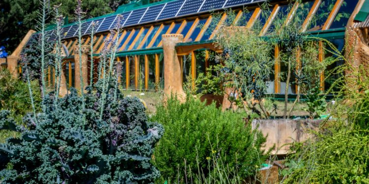 Educación ambiental comunitaria